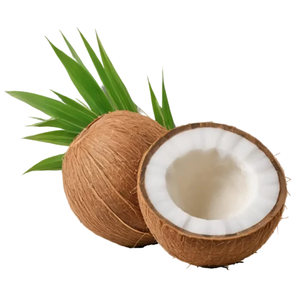 Fresh Coconut